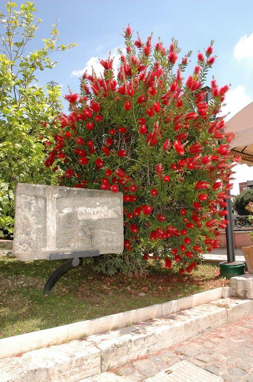 Hotel Arco Di Travertino Rzym Zewnętrze zdjęcie